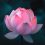 Alternatives to Psychosynthesis Therapy — Integrative, Humanistic & Transpersonal Options