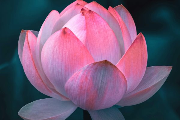 Alternatives to Psychosynthesis Therapy — Integrative, Humanistic & Transpersonal Options