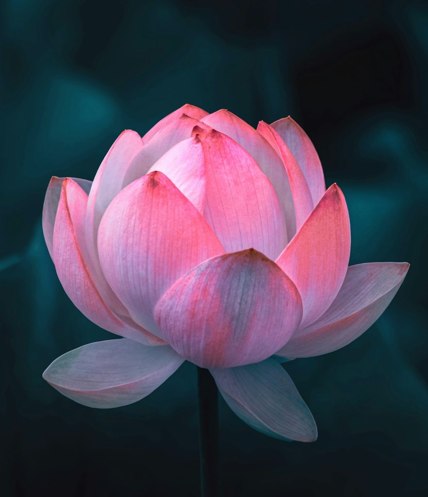 Alternatives to Psychosynthesis Therapy - integrative counselling image