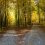 From Crisis to Calling: Psychosynthesis Therapy for Meaningful Life Transitions