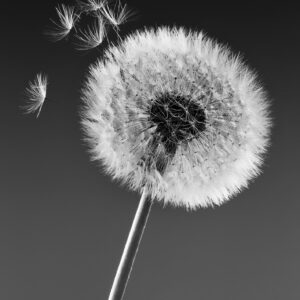 Psychosynthesis Therapy: What It Is and How It Works