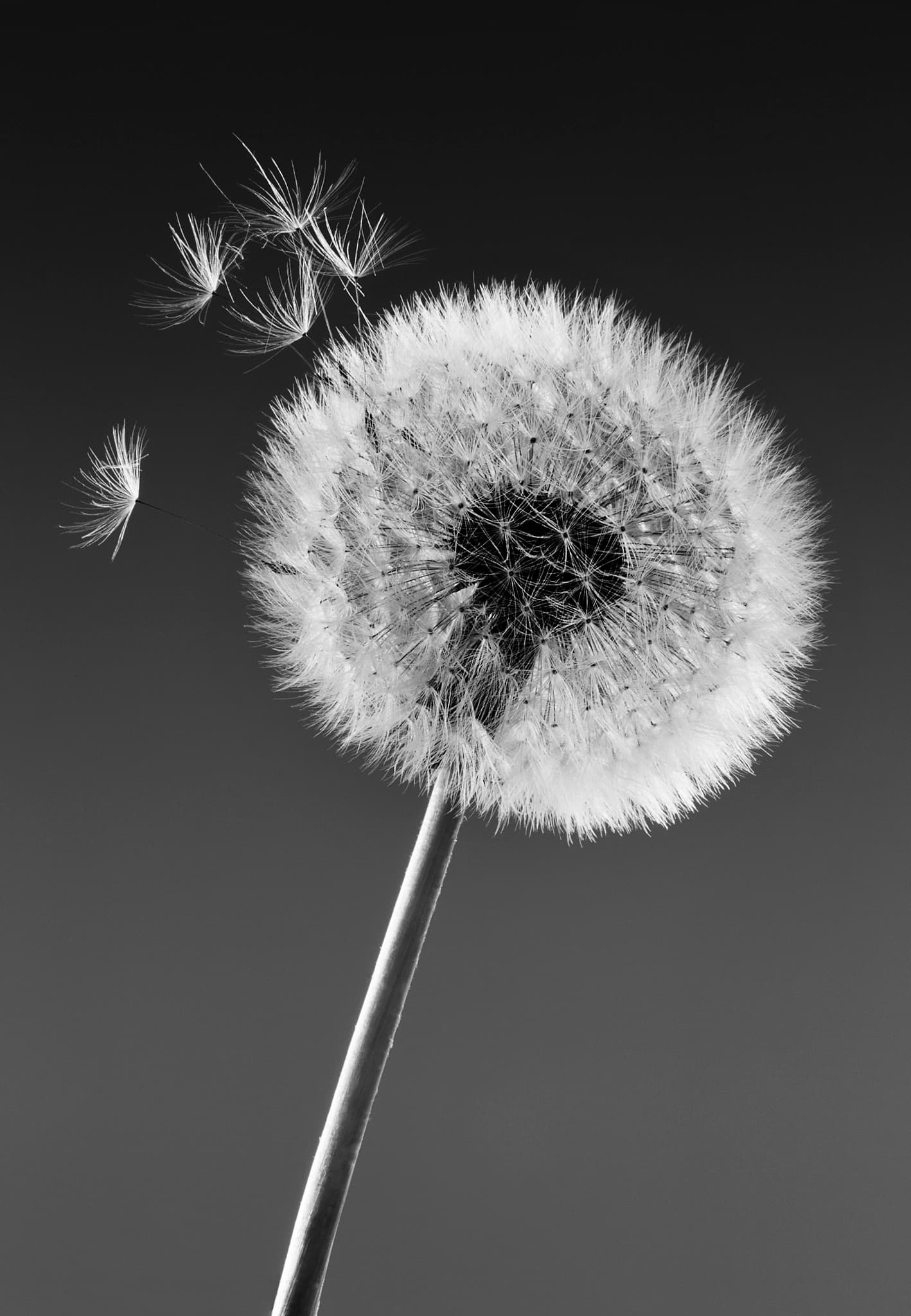 Alex Golding Therapy - Holistic Psychosynthesis Counselling