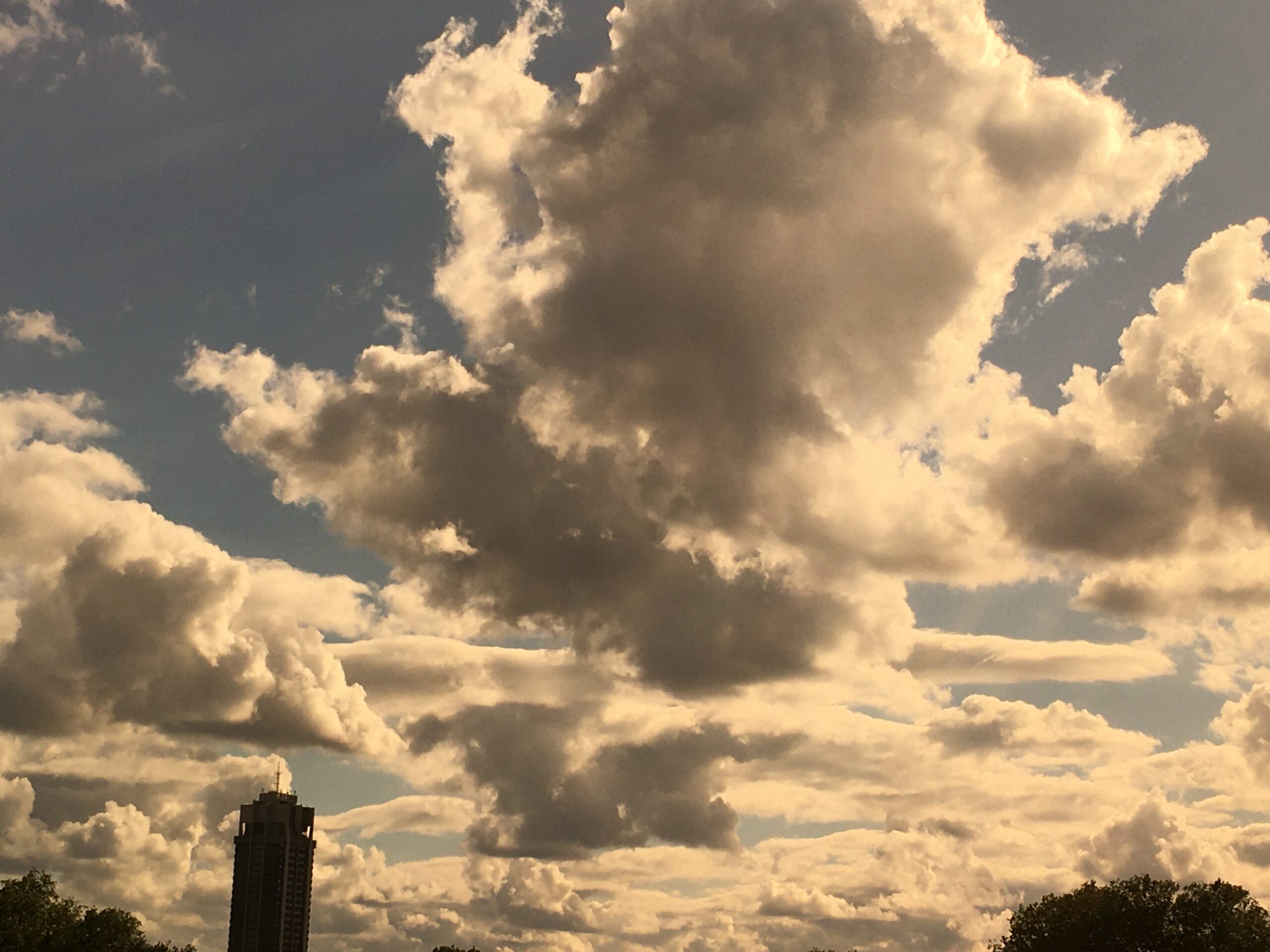 A wide sky of tall sunlit clouds seen from Hyde Park, London