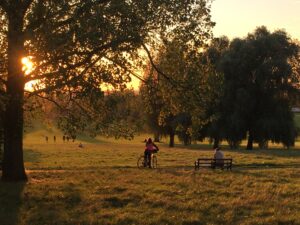 An open park in warm late afternoon light, a few figures in the distance under the trees.