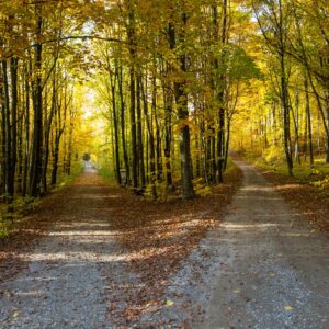 From Crisis to Calling: Psychosynthesis Therapy for Meaningful Life Transitions