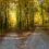 From Crisis to Calling: Psychosynthesis Therapy for Meaningful Life Transitions