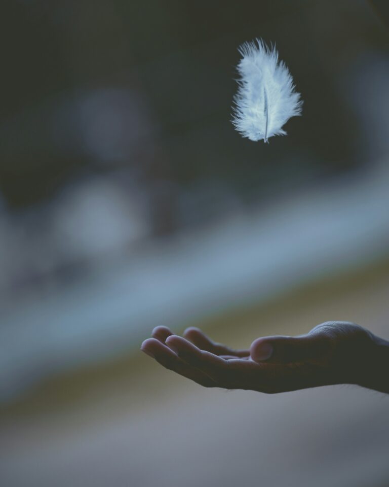 A single pale feather lying across an open upturned hand.