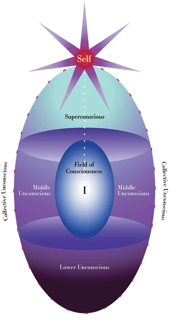 The Inspiration Behind Psychosynthesis: Roberto Assagioli’s Vision Alex Golding Therapy Assagioli's egg diagram of the psyche, showing the lower, middle and higher unconscious around the conscious self.