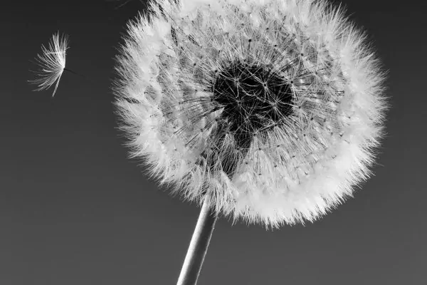 Psychosynthesis Therapy: What It Is and How It Works