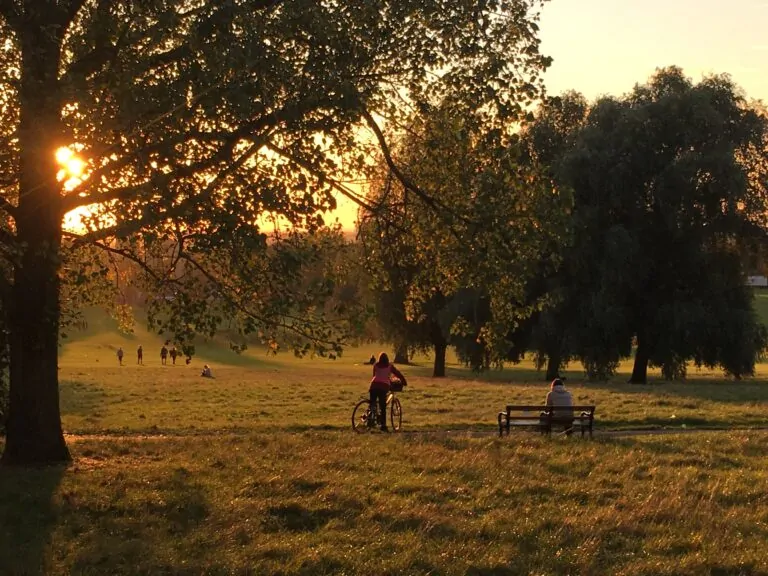 Streatham Common in warm late afternoon light, a few figures in the distance under the trees.