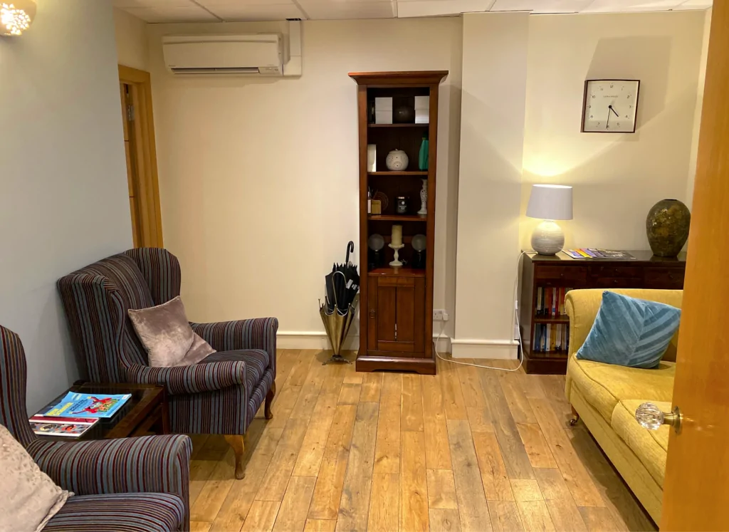 A waiting room with two leather armchairs, a rug and a bookcase.