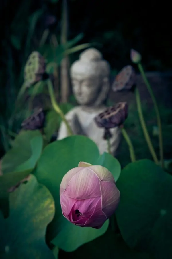 Spiritual Bypassing: When Practice Becomes a Place to Hide Alex Golding Therapy Practice and therapy as complementary paths