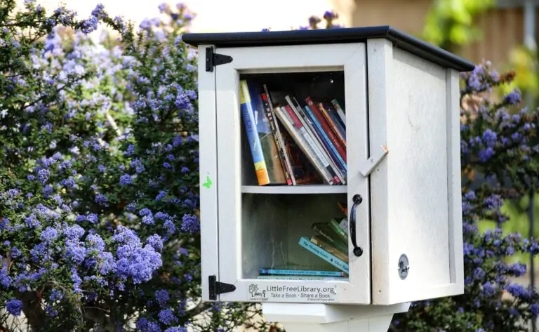 The Art of Self-Forgiveness Alex Golding Therapy A small wooden book exchange box mounted on a post, surrounded by lavender.